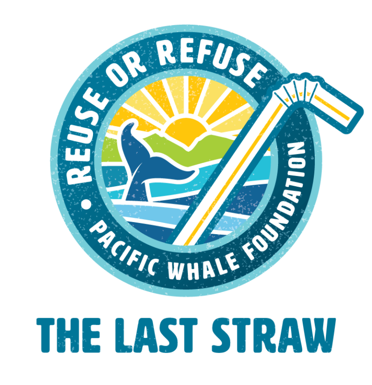 Plastic Straw Alternatives A step towards saving our Oceans! Find a